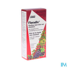 Load image into Gallery viewer, Salus Floradix Elexir 250ml
