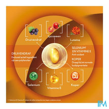 Afbeelding in Gallery-weergave laden, Oenobiol Sun Expert Caps 30
