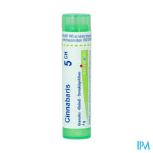 Afbeelding in Gallery-weergave laden, Cinnabaris 5ch Gr 4g Boiron
