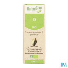 Charger l'image dans la galerie, Herbalgem Es Maceraat 15ml
