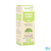 Charger l'image dans la galerie, Herbalgem Ginkgo Biloba Maceraat 15ml
