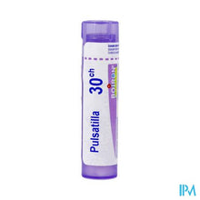 Charger l&#39;image dans la galerie, Pulsatilla 30k Gr 4g Boiron
