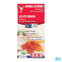 Afbeelding in Gallery-weergave laden, Biolys Rode Wijnstok+rode Vruchten Tea-bags 20
