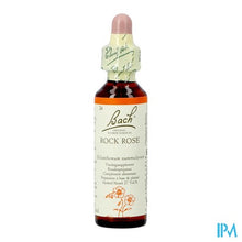 Charger l'image dans la galerie, Bach Flower Remedie 26 Rock Rose 20ml
