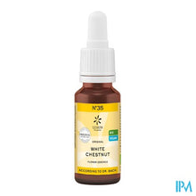 Charger l'image dans la galerie, Bachbloesem Bio N°35 White Chestnut 20ml
