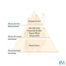 Afbeelding in Gallery-weergave laden, De Saint Hilaire Compl.diff Flocon Epice Bio 30ml
