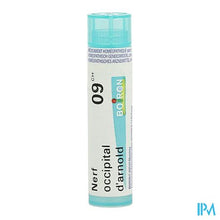 Load image into Gallery viewer, Nerf Occipital D'arnold 9ch Gr 4g Boiron
