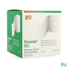 Charger l'image dans la galerie, Rosidal Sc 10cmx3,5m 33503
