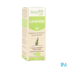 Charger l'image dans la galerie, Herbalgem Jeneverbes Maceraat 15ml
