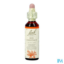 Charger l'image dans la galerie, Bach Flower Remedie 25 Red Chestnut 20ml
