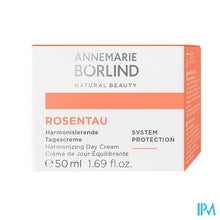 Load image into Gallery viewer, Annemarie Borlind Rosentau Day Cream 50ml
