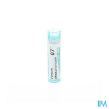 Load image into Gallery viewer, Ferrum Phosphoricum 7ch Gr 4g Boiron
