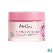 Load image into Gallery viewer, Melvita Pulpe Rose Plumping Radiance Cream 40ml
