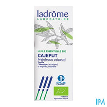 Charger l'image dans la galerie, Ladrome Melaleuca Leucadendron/cajeput 10ml
