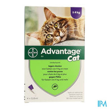Afbeelding in Gallery-weergave laden, Advantage 80 Katten >4kg 4x0,8ml
