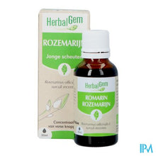 Charger l'image dans la galerie, Herbalgem Rozemarijn Bio 30ml
