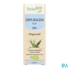 Charger l'image dans la galerie, Herbalgem Depuragem Complex Bio 15ml
