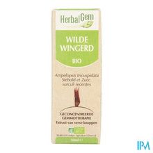 Afbeelding in Gallery-weergave laden, Herbalgem Wilde Wingerd Maceraat 50ml
