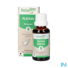 Charger l'image dans la galerie, Herbalgem Plataan Bio 30ml
