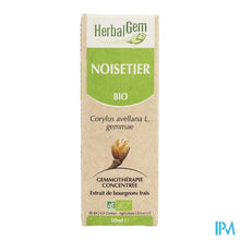Charger l'image dans la galerie, Herbalgem Hazelaar Maceraat 50ml
