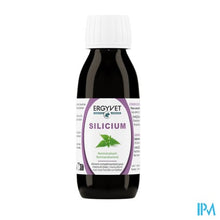 Load image into Gallery viewer, Ergyvet Silicium Fl 100ml
