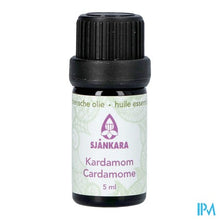 Afbeelding in Gallery-weergave laden, Sjankara Kardamom Ess. Olie Bio 5ml
