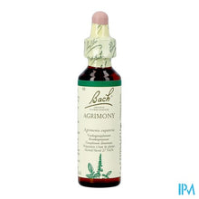 Charger l'image dans la galerie, Bach Flower Remedie 01 Agrimony 20ml
