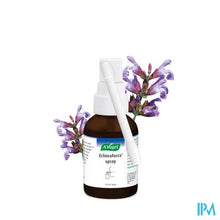 Load image into Gallery viewer, A.Vogel Spray voor de keel 30ml
