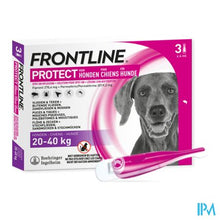 Afbeelding in Gallery-weergave laden, Frontline Protect Spot On Opl Hond 20-40kg Pipet 3
