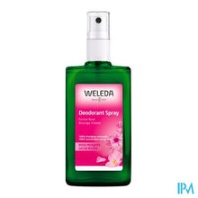 Load image into Gallery viewer, Weleda Wilde Rozen Deodorant Spray 100ml
