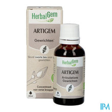 Afbeelding in Gallery-weergave laden, Herbalgem Artigem Bio 30ml
