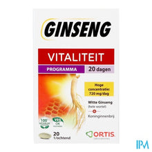 Afbeelding in Gallery-weergave laden, Ortis Vitalite Ginseng 20 Tabl 20
