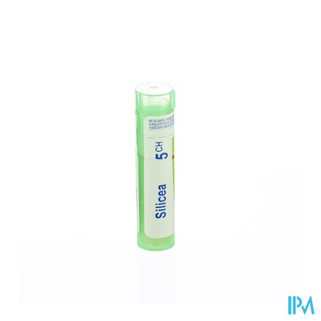 Silicea 5ch Gr 4g Boiron