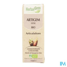 Load image into Gallery viewer, Herbalgem Artigem Complex 15ml
