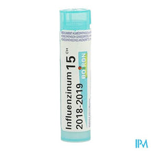Load image into Gallery viewer, Influenzinum 15ch Gr 4g Boiron
