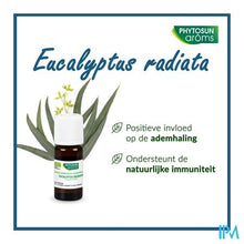 Afbeelding in Gallery-weergave laden, Phytosun Euc. Radiata Fr-bio-01 10ml
