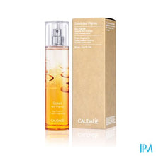 Load image into Gallery viewer, Caudalie Fris Water Soleil Vignes 50ml
