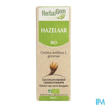 Charger l'image dans la galerie, Herbalgem Hazelaar Maceraat 50ml
