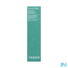 Afbeelding in Gallery-weergave laden, Caudalie Fris Water Eau Des Vignes 50ml
