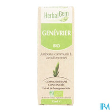 Charger l'image dans la galerie, Herbalgem Jeneverbes Maceraat 15ml
