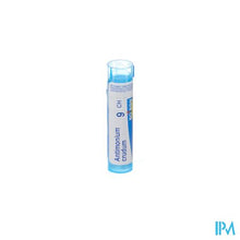 Load image into Gallery viewer, Antimonium Crudum 9ch Gr 4g Boiron
