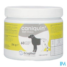 Load image into Gallery viewer, Caniquin Soft Chews 60
