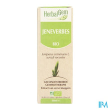 Charger l'image dans la galerie, Herbalgem Jeneverbes Maceraat 50ml
