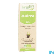 Charger l'image dans la galerie, Herbalgem Meidoorn Maceraat 15ml
