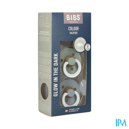 Bibs 1 Fopspeen Symmetric Glow Duo Sage/cloud 2