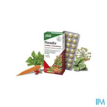 Afbeelding in Gallery-weergave laden, Salus Floradix Drag 84
