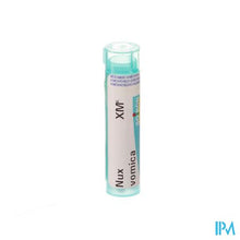 Charger l'image dans la galerie, Nux Vomica Xmk Gr 4g Boiron
