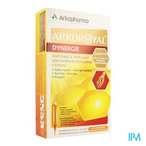 Arkoroyal Dynergie Amp 20