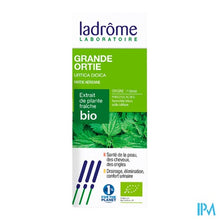 Charger l'image dans la galerie, Ladrome Urtica Dioica/grote Brandnetel 50ml
