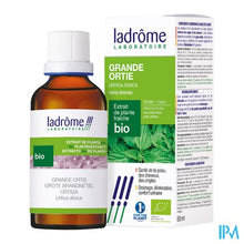 Charger l'image dans la galerie, Ladrome Urtica Dioica/grote Brandnetel 50ml
